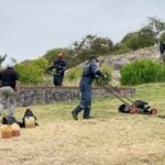 Contraloría objeta programa de áreas verdes en Curicó: Contratación de trabajadores "no se ajusta a derecho"