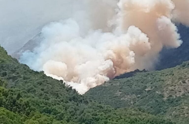 Alerta Roja en Romeral por incendio forestal que consume 20 hectáreas de bosque nativo
