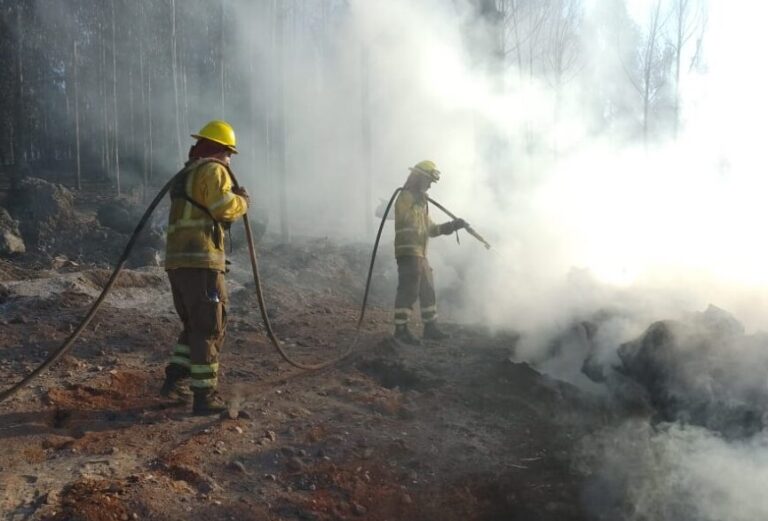 Fiscalía formalizó a autor de incendio de bosque en la comuna de Maule