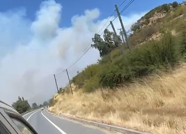 Incendio forestal amenaza viviendas en Los Coipos, Hualañé