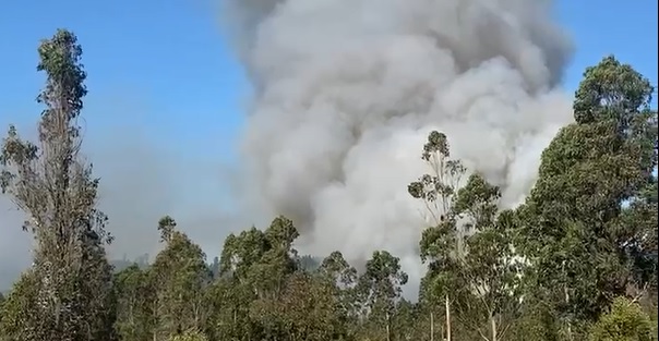 Incendio forestal en Vichuquén: Conductor de tractor detenido