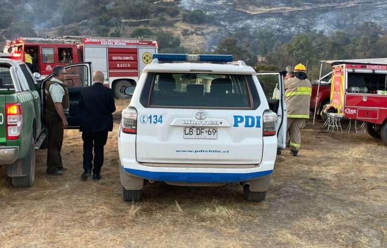 Incendio forestal "El Parrón" en Rauco deja pérdidas en colmenas y animales