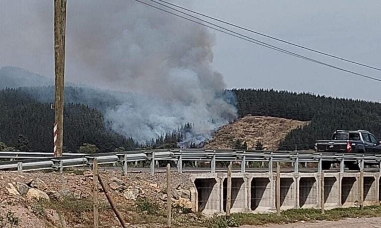Nuevo incendio forestal afecta a la comuna de Curepto en medio de alerta amarilla por altas temperaturas