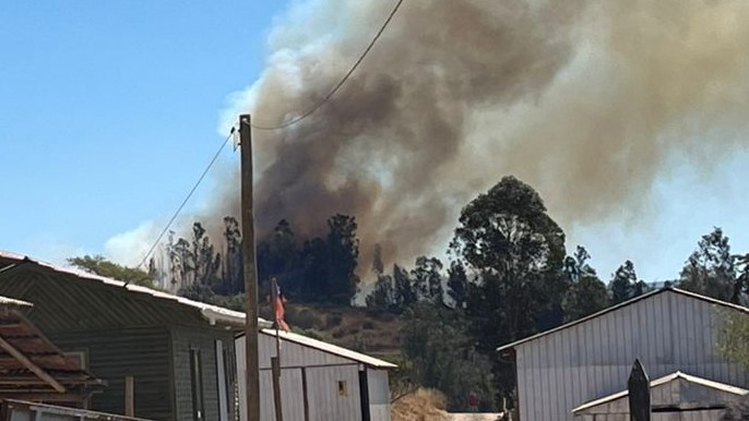 Tragedia en Docamávida: Incendio forestal cobra la vida de adulta mayor