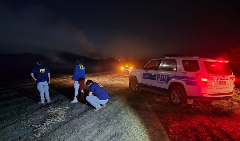 Incendio forestal en “Villa Baviera” ya ha consumido 50 hectáreas: Alerta Amarilla se mantiene vigente