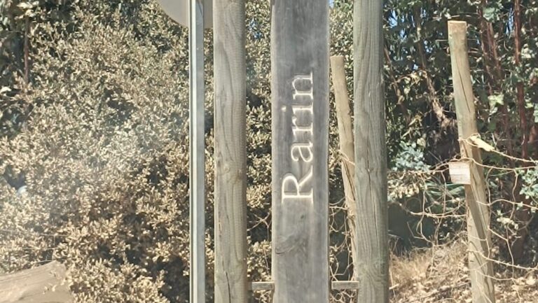 Rarín: ¿Un pueblo olvidado entre dos regiones? Habitantes reclaman abandono y confusión administrativa