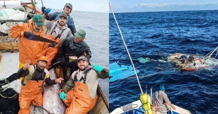 Asociación de Bacaladeros del Maule sostiene que naufragio de pescadores fue causado por una colisión