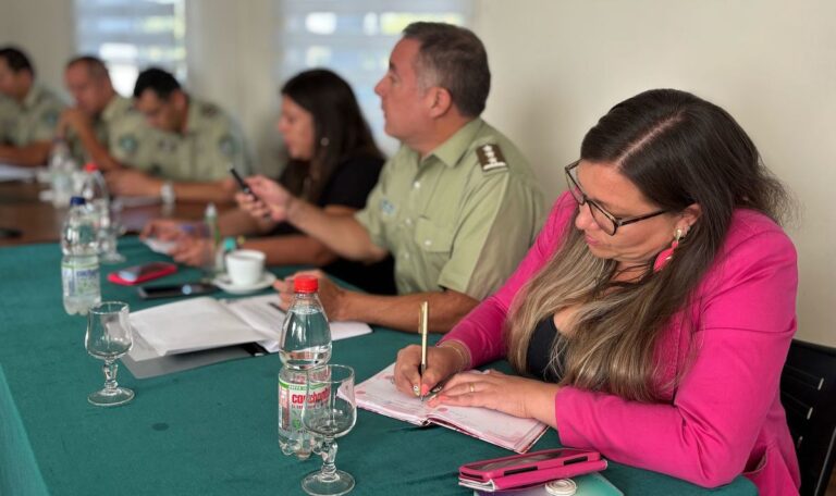 Delitos de mayor connotación policial disminuyen en la provincia de Curicó