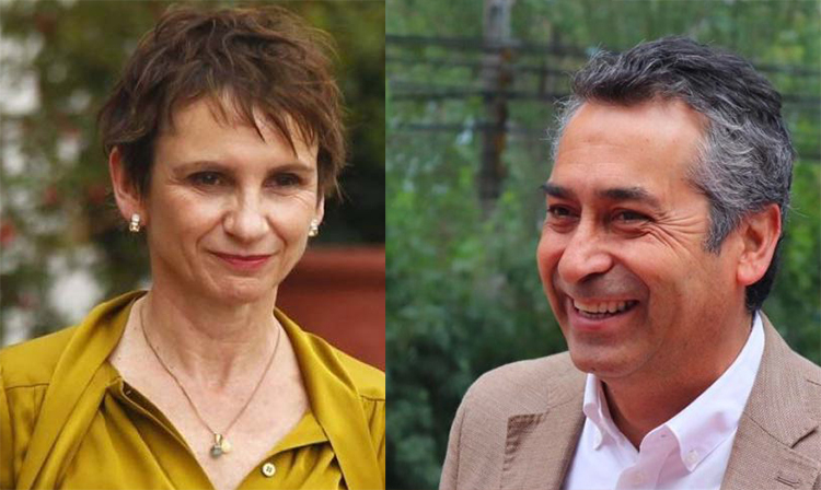 Diputado Sepúlveda llama al radicalismo a respaldar opción presidencial de Carolina Tohá