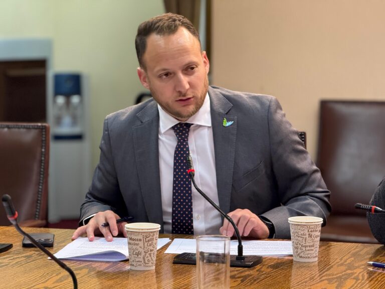 Senado aprueba Reforma Integral de Adopción: Diputado Guzmán celebra avance y pide agilizar trámite final