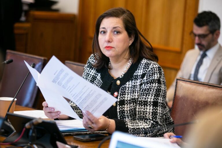 Senadora Vodanovic ofició a SUBTEL por deficiente conectividad digital y telefónica en Maule Rural