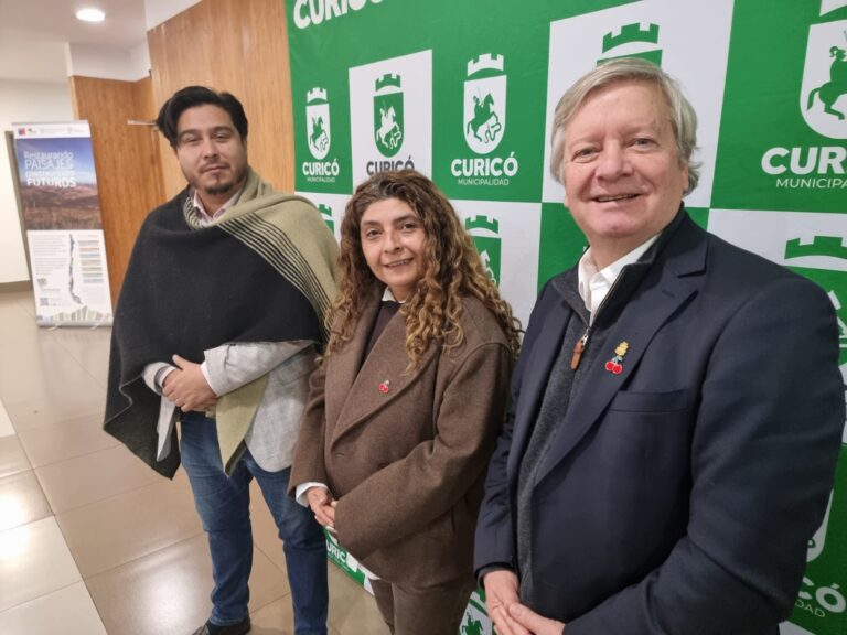 Seminario en Curicó busca potenciar la cereza maulina: Autoridades abogan por mejorar calidad y fortalecer exportaciones