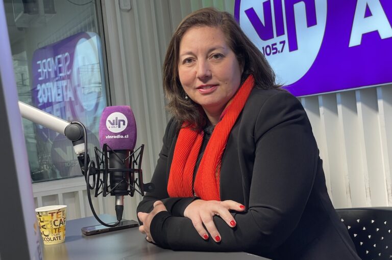 Senadora Vodanovic exige designación de un fiscal especial para perseguir el robo de cables en el Maule