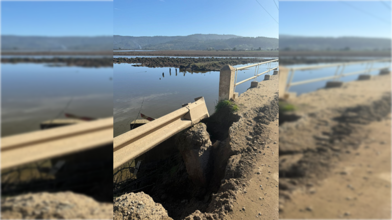 Concejala de Vichuquén denuncia socavón en puente de acceso a Llico