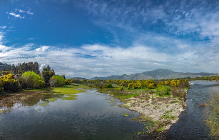 Licantén invita a vivir una experiencia única en torno al Río Mataquito