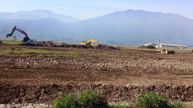 La última caída de San Jorge: Crónica de un adiós
