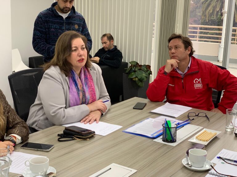 Senadora Vodanovic citó a Hacienda y Dipres por reajuste presupuestario a Gobiernos Regionales