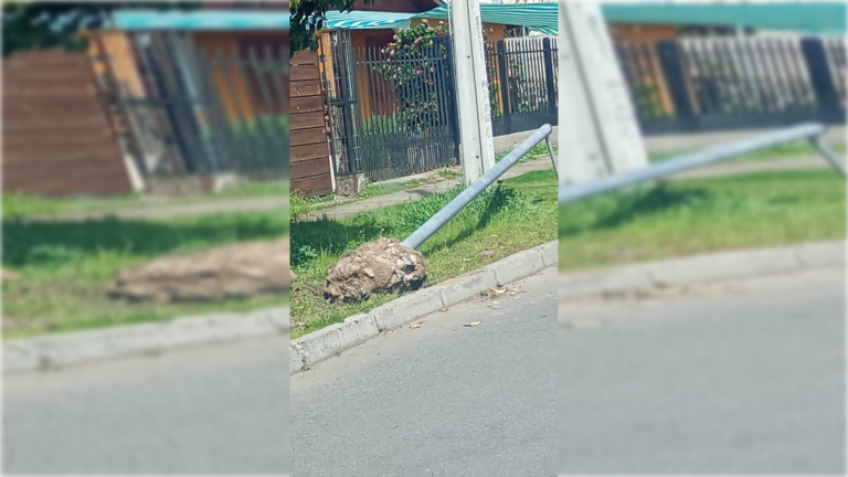 Vandalismo a cámaras de seguridad preocupa a vecinos y autoridades de Curicó