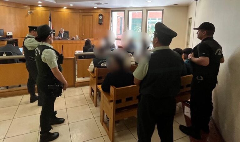 Golpe al crimen organizado: PDI desarticula banda que asaltó plantación autorizada de cannabis sativa en Pelarco