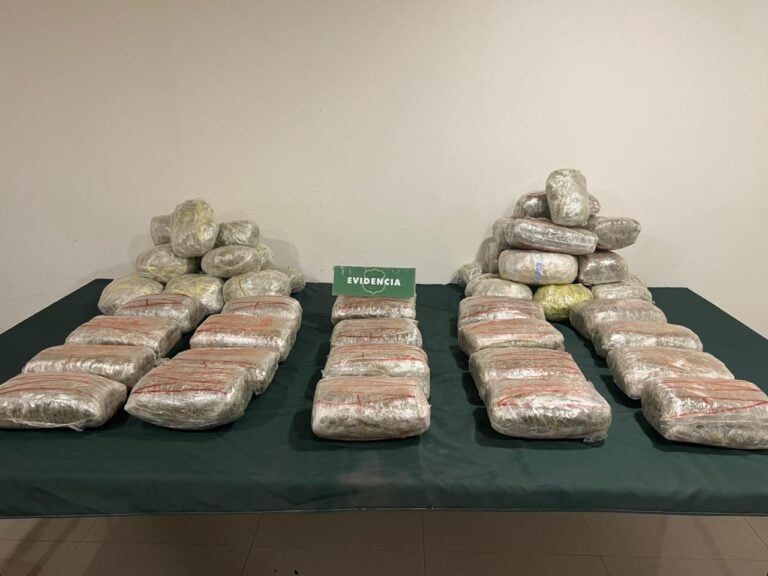Carabineros incautó más de 40 kilos de marihuana elaborada en Curicó