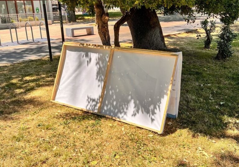 Municipalidad de Curicó hace un llamado a los candidatos a donar palomas en desuso