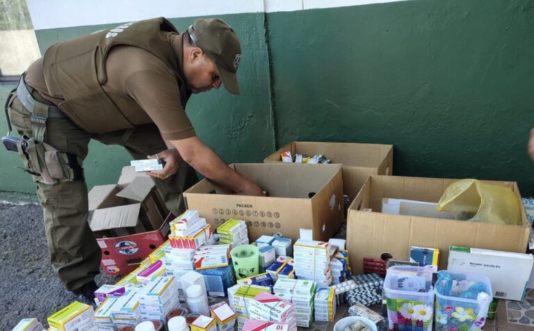 Intenso operativo intersectorial se realizó este sábado en Feria de las Pulgas de Curicó