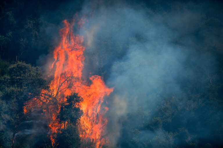 Conaf advierte sobre riesgo de incendios forestales en 64 comunas chilenas por calor y viento