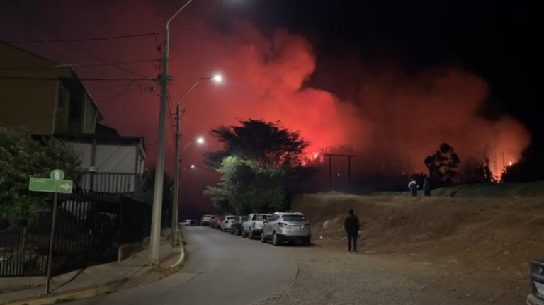 Senapred declara Alerta Roja en Constitución por incendio forestal cercano a viviendas
