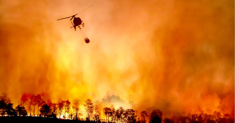 Hombre detenido por incendio forestal en Maule queda en libertad al no haber antecedentes suficientes