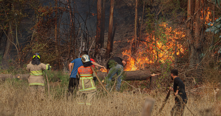 Justicia formaliza a cuatro personas por uso imprudente de fuego y herramientas en el Maule