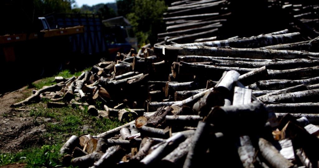 Detienen a dos personas por sustracción de madera nativa en Osorno