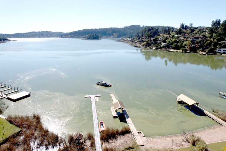 Medio Ambiente llama a la comunidad a aportar antecedentes para la nueva norma de calidad del Lago Vichuquén