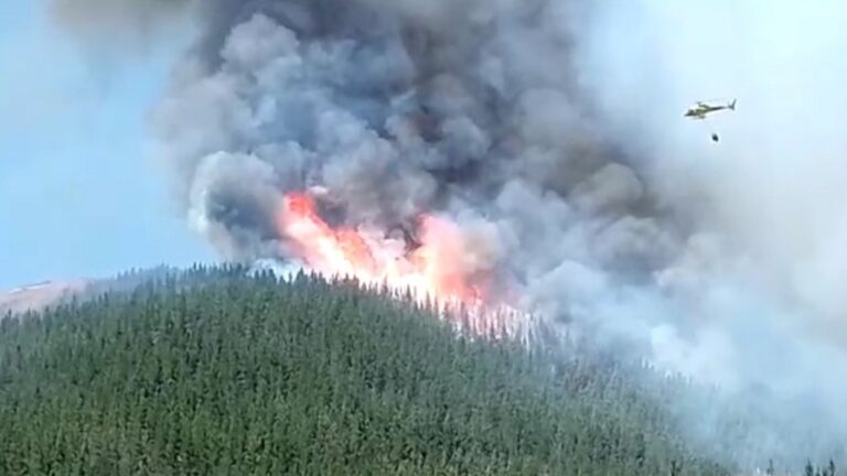 Senapred ordena evacuación en Retiro, Maule, por incendio forestal