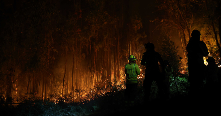 Treinta incendios forestales activos se combaten en cinco regiones del país