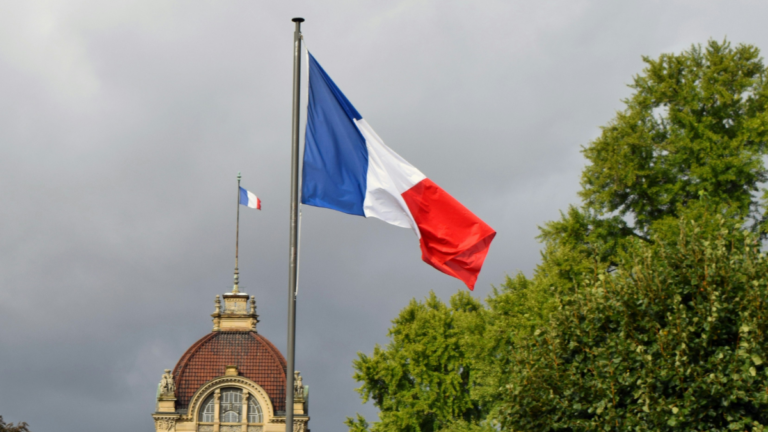 Francia restringirá importación de frutas sudamericanas por uso de pesticidas no autorizados