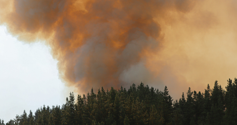 Cauquenes bajo Alerta Roja: Aviones tanqueros fueron claves para contener el incendio “San Pedro” que ya suma 414 hectáreas