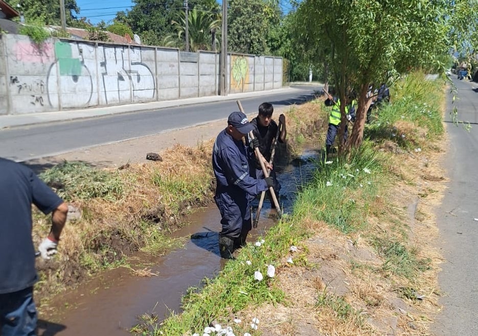 Municipio de Curicó inició limpieza de canales para evitar inundaciones en invierno