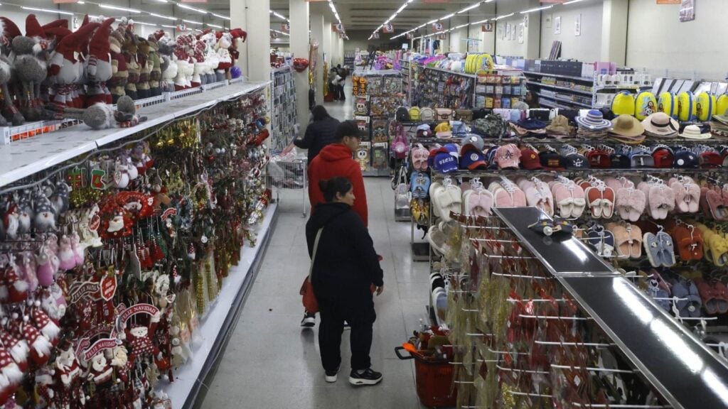 "Ya comenzamos la aplicación de diversos análisis y procesos de fiscalización más profundos": SII intensifica control a malls chinos