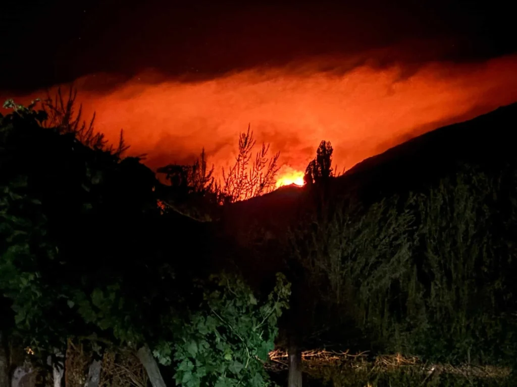 Incendio forestal en Linares afecta Santuario de la Naturaleza Cajón del Río Achibueno