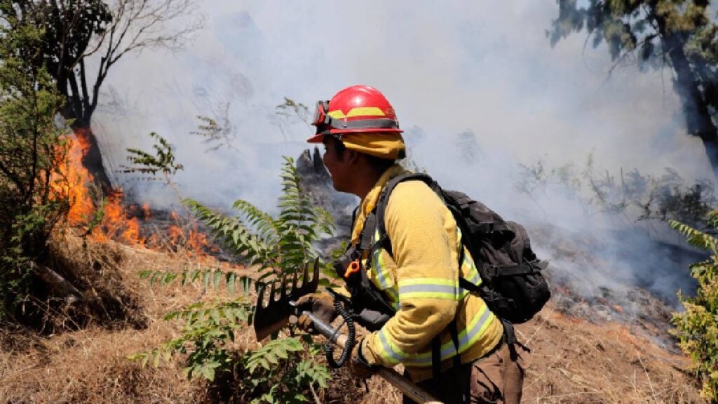 Conaf: Riesgo de incendios forestales en Biobío persistirá hasta abril