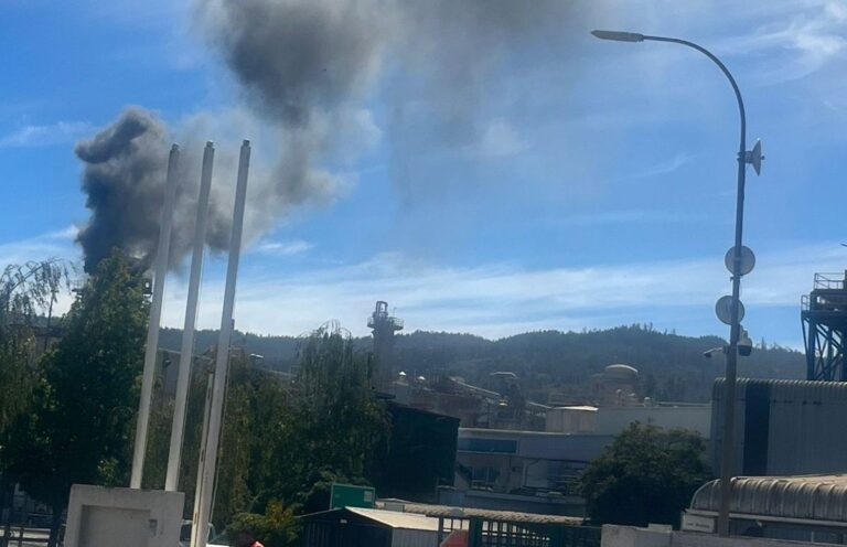 Bomberos controla nuevo incendio en instalaciones de la ex planta Licancel en Licantén