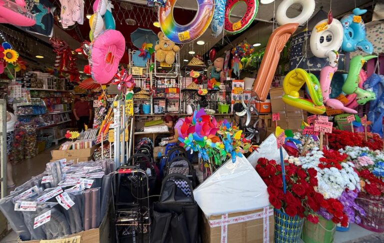 Municipio transparenta catastro oficial: 23 "malls chinos" operan con patente vigente en Curicó