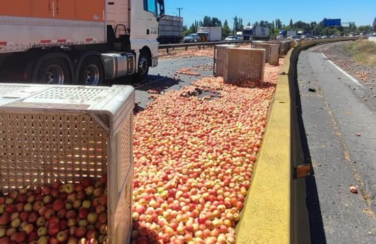 Camión pierde carga de manzanas y genera congestión en la Ruta 5 Sur