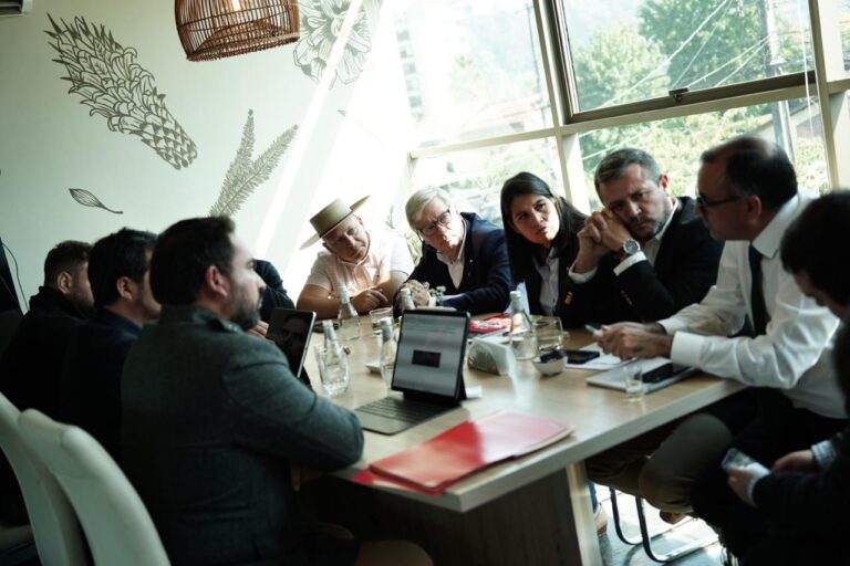 Siete alcaldes del Maule y senadora Balladares declararon su oposición a la instalación del SLEP Los Cerezos