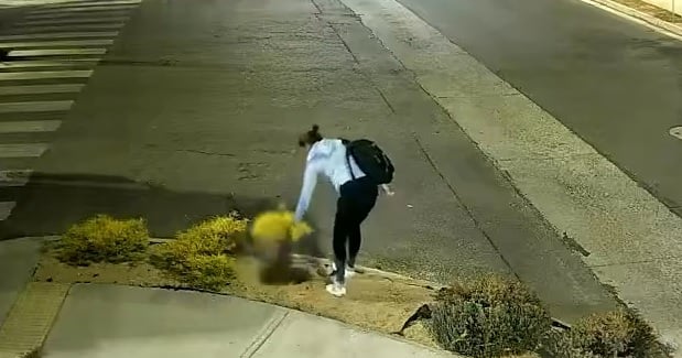 Denuncian continuos robos de plantas desde espacios públicos en sector Hacienda El Boldo de Curicó