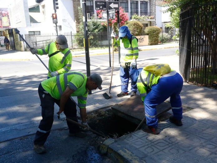 Municipio asumirá control del mantenimiento de plazas y áreas verdes en Curicó