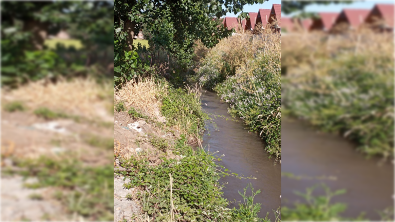 Vecinos continúan denunciando malos olores por contaminación en canal La Cañada