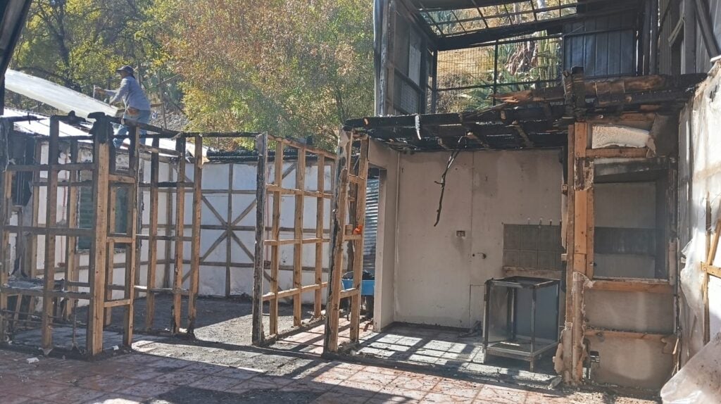 Club Revolución de Taekwondo retoma entrenamientos tras incendio en Curicó