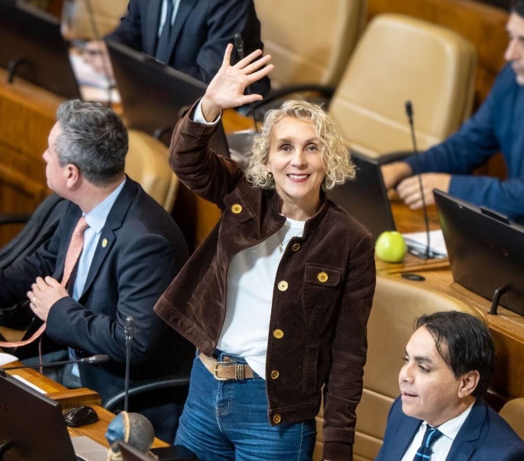 Diputada Castillo por proyecto de Escuelas Protegidas: "No basta con revisar mochilas"