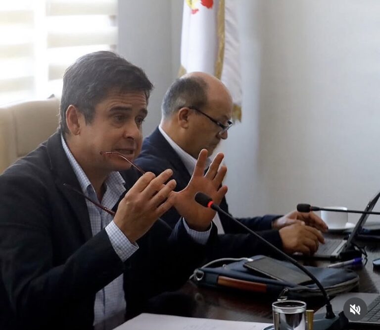 Concejal Francisco Sanz propone creación de equipo especial para reparación de veredas en Curicó
